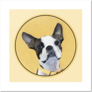 Boston Terrier Posters and Art